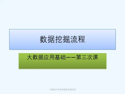 大数据应用基础数据挖掘流程