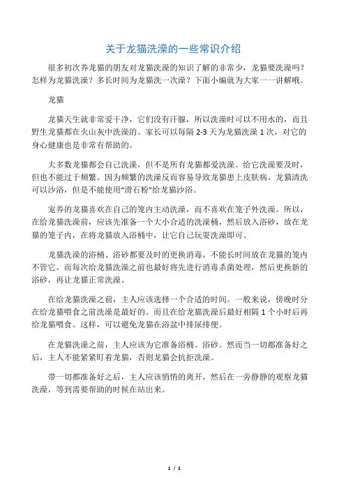 关于龙猫洗澡的一些常识介绍