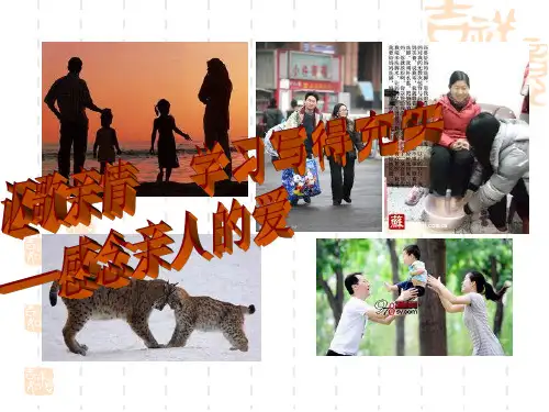 《讴歌亲情-学习写得充实》ppt课件