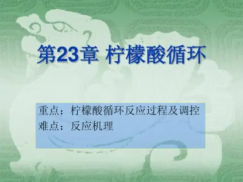 第23章 柠檬酸循环