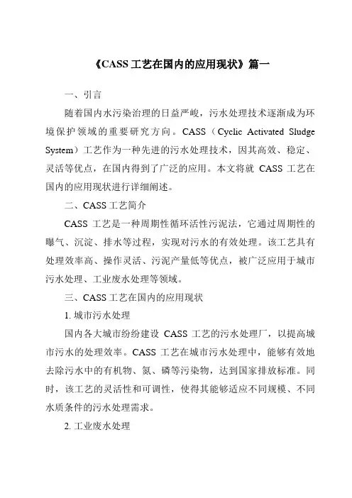 《2024年CASS工艺在国内的应用现状》范文