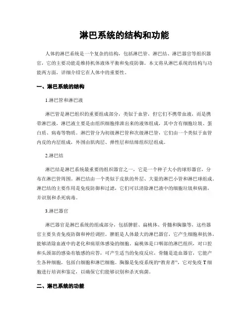 淋巴系统的结构和功能