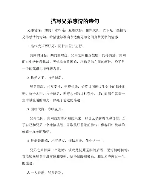 描写兄弟感情的诗句