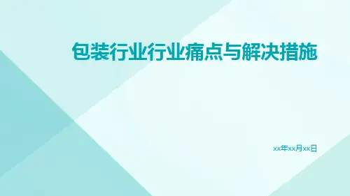包装行业行业痛点与解决措施ppt