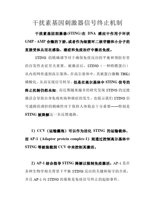 干扰素基因刺激器信号终止机制
