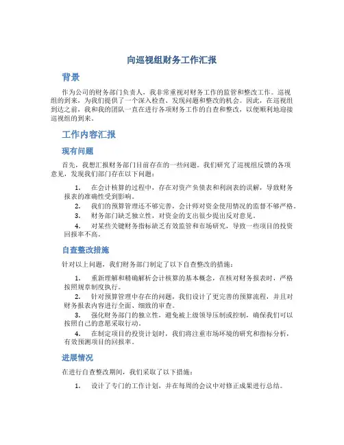 向巡视组财务工作汇报