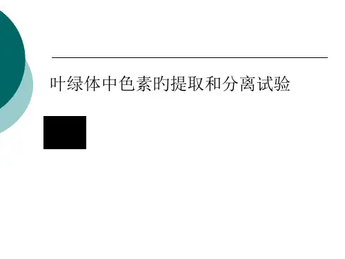叶绿体色素的提取与分离实验