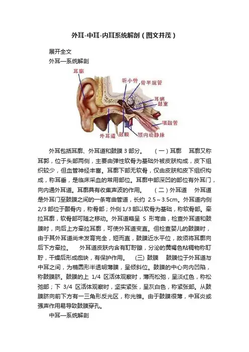 外耳-中耳-内耳系统解剖（图文并茂）