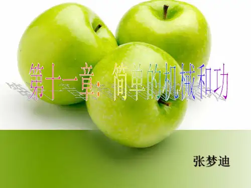 第十一章简单的机械和功