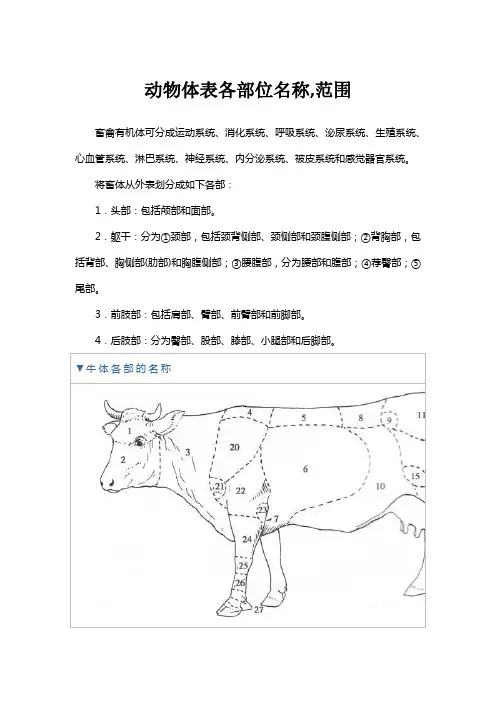 动物体表各部位名称,范围