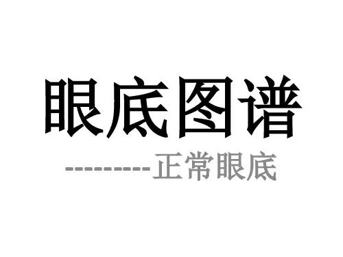 眼底图谱正常眼底
