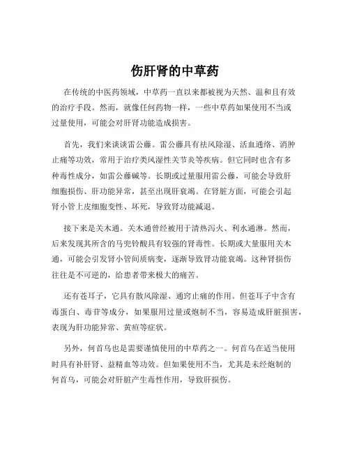 伤肝肾的中草药