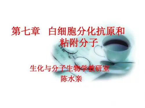 第七章 白细胞分化抗原和粘朌分子(新)