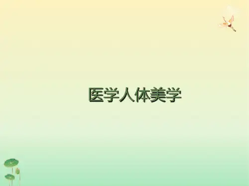 医学人体美学