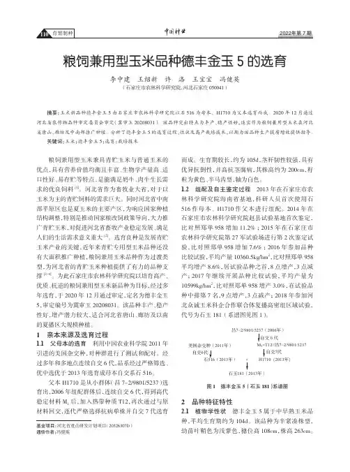 粮饲兼用型玉米品种德丰金玉5的选育