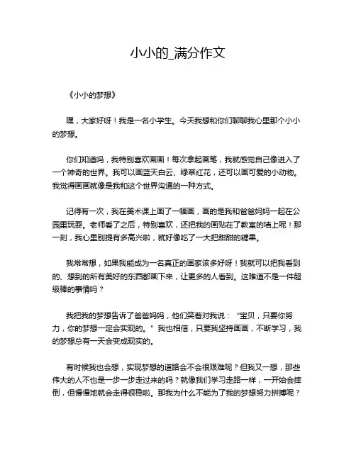 小小的_满分作文