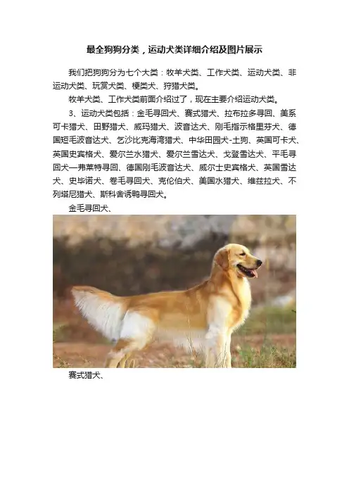 最全狗狗分类，运动犬类详细介绍及图片展示