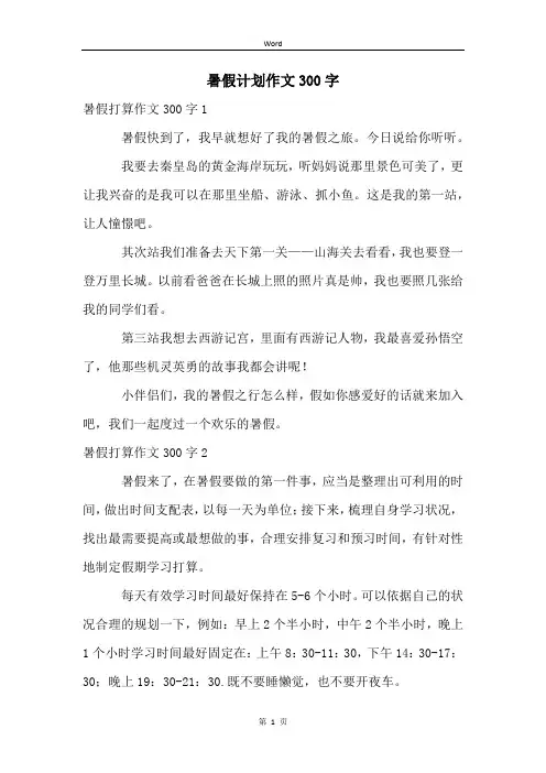 暑假计划作文300字