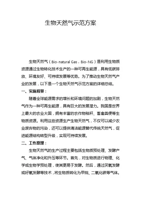 生物天然气示范方案(五)
