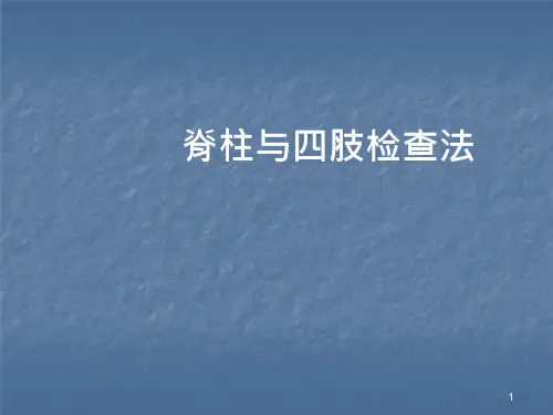 脊柱与四肢检查法课件