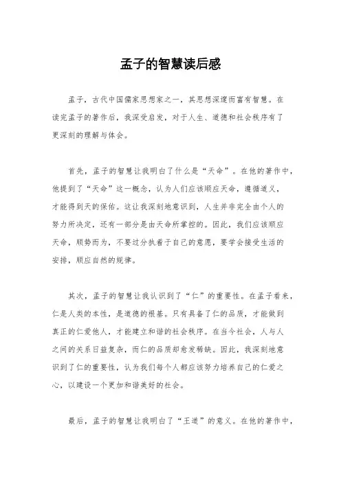 孟子的智慧读后感