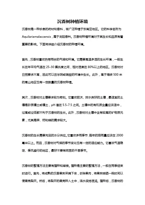 沉香树种植环境