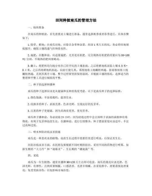 田间种植南瓜的管理方法