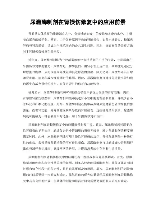 尿激酶制剂在肾损伤修复中的应用前景