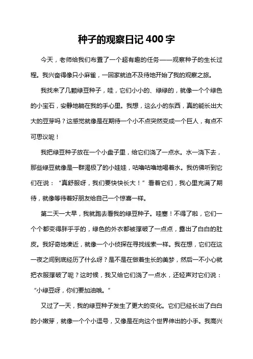 种子的观察日记400字
