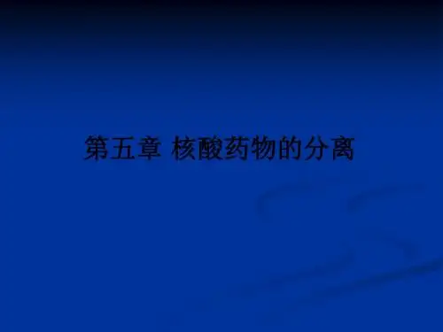第五章 核酸药物的分离ppt课件
