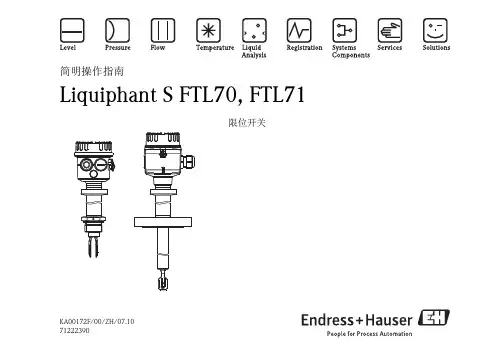 E+H Liquiphant S FTL70 FTL71 限位开关简明操作指南