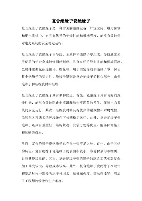 复合绝缘子瓷绝缘子