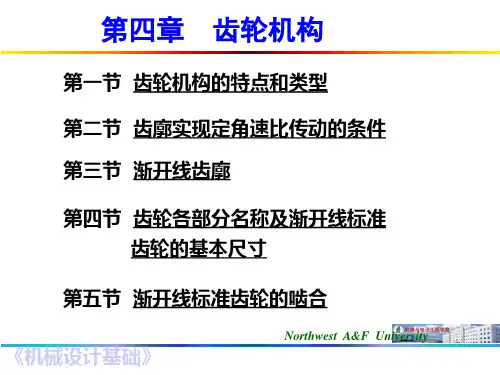 齿轮机构 ppt课件