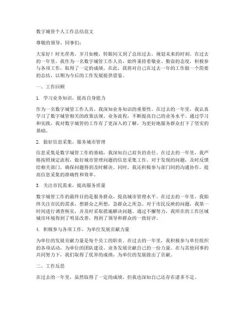数字城管个人工作总结范文