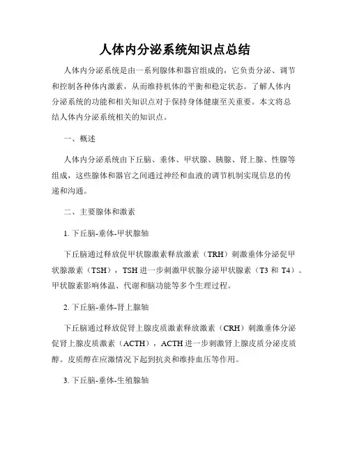 人体内分泌系统知识点总结