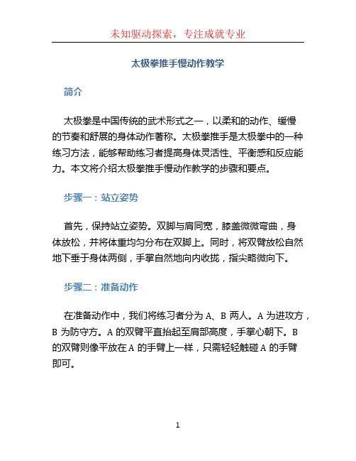 太极拳推手慢动作教学