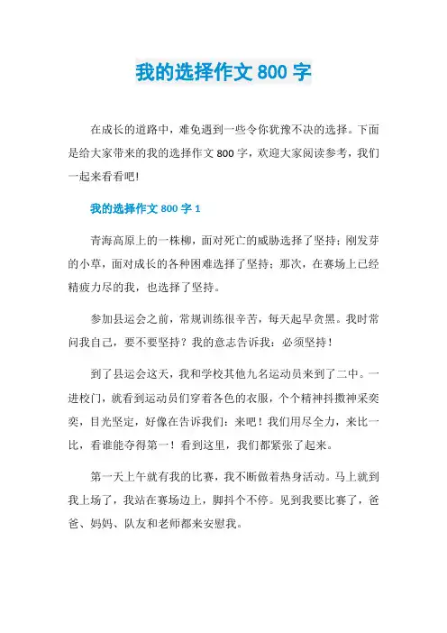 我的选择作文800字