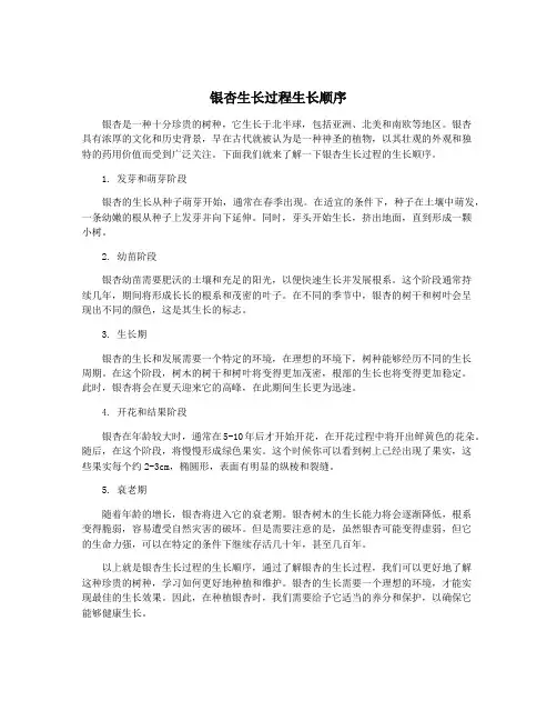 银杏生长过程生长顺序