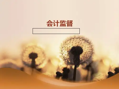 会计监督PPT课件