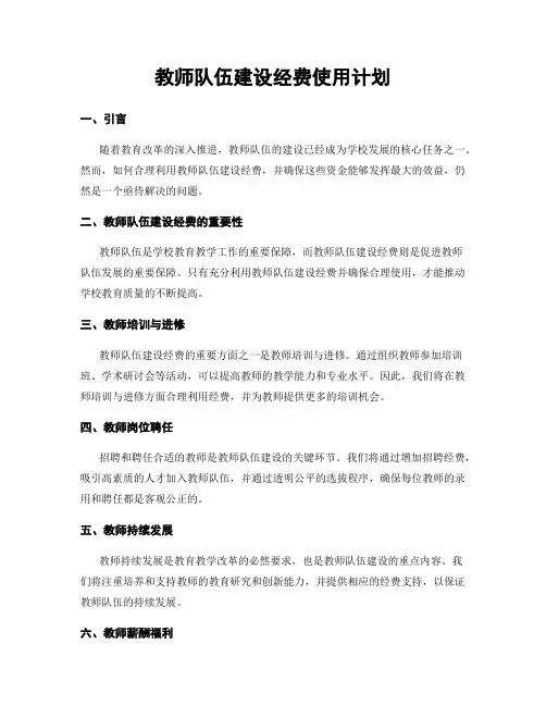 教师队伍建设经费使用计划