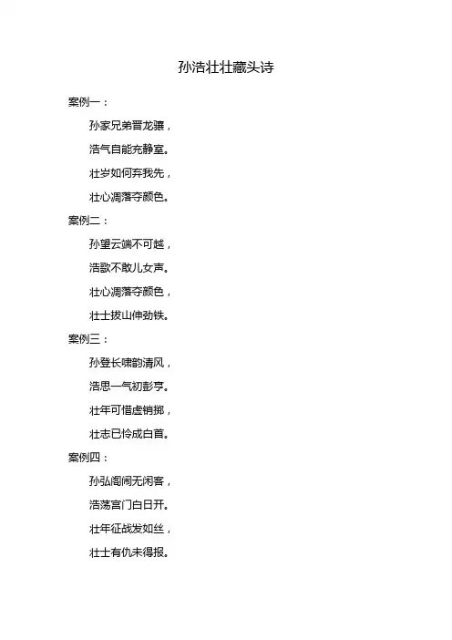 孙浩壮壮藏头诗