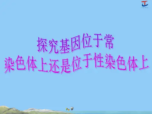 17.探究基因位于常染色体上还是位于性染色体上