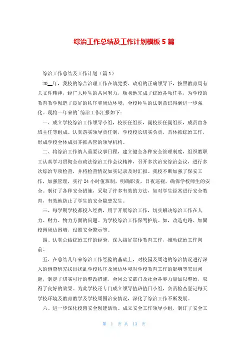 综治工作总结及工作计划模板5篇
