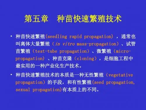 5章种苗快速繁殖技术