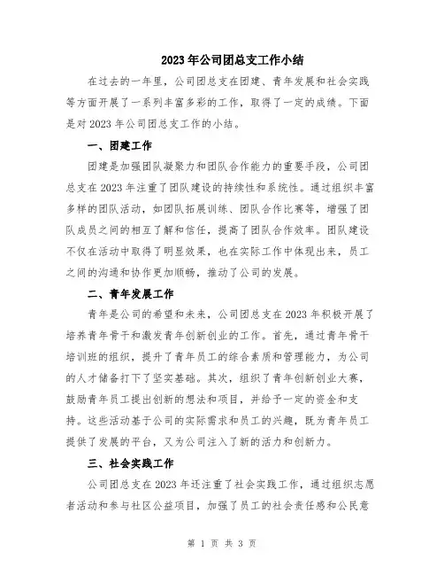 2023年公司团总支工作小结