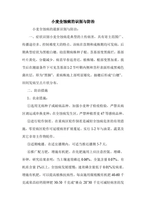 小麦全蚀病的识别与防治.doc