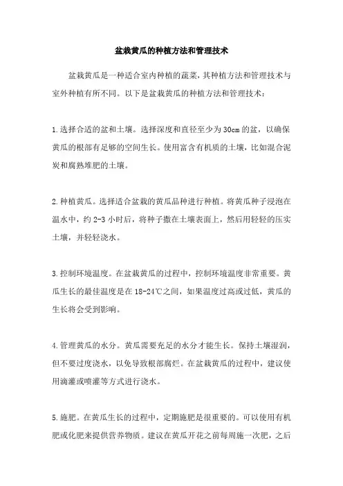 盆栽黄瓜的种植方法和管理技术