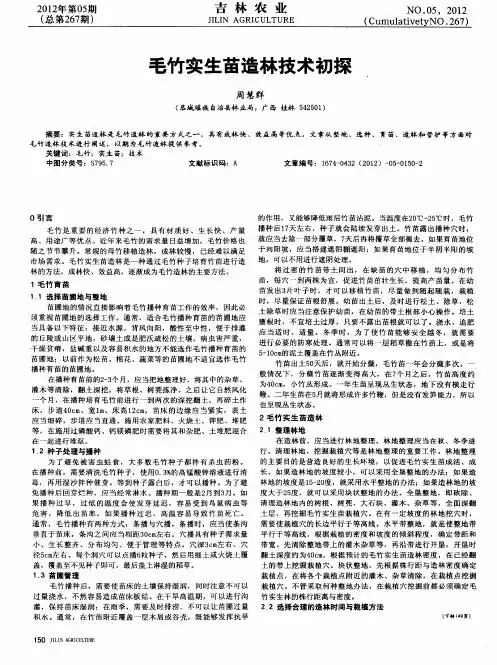 毛竹实生苗造林技术初探