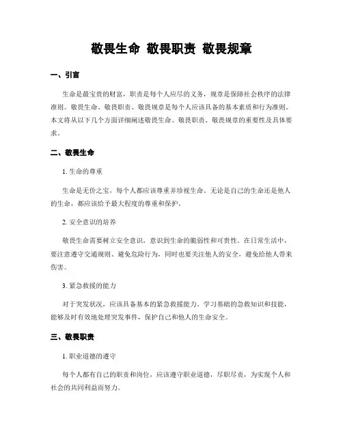 敬畏生命 敬畏职责 敬畏规章