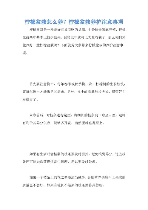 柠檬盆栽怎么养？柠檬盆栽养护注意事项